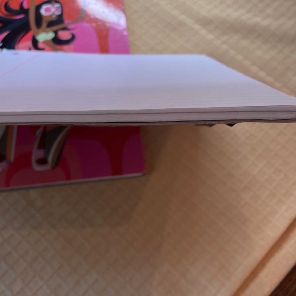 Notebook binders 5 - Picture 7 of 9